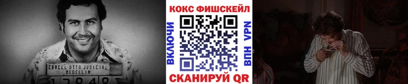 COCAIN Fish Scale Москва