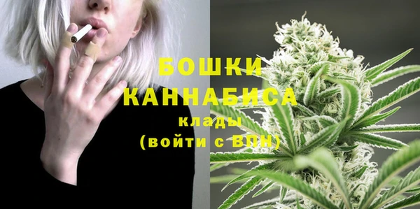 бошки Гусиноозёрск
