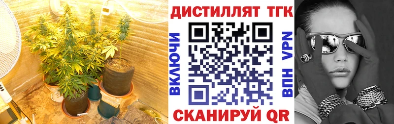 Дистиллят ТГК жижа  купить закладку  Москва 